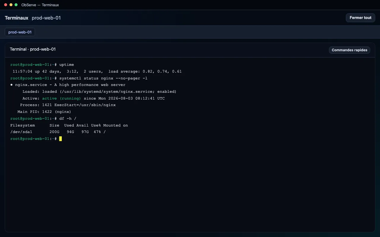 Terminal SSH ObServe